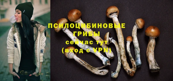 гидропоника Армянск